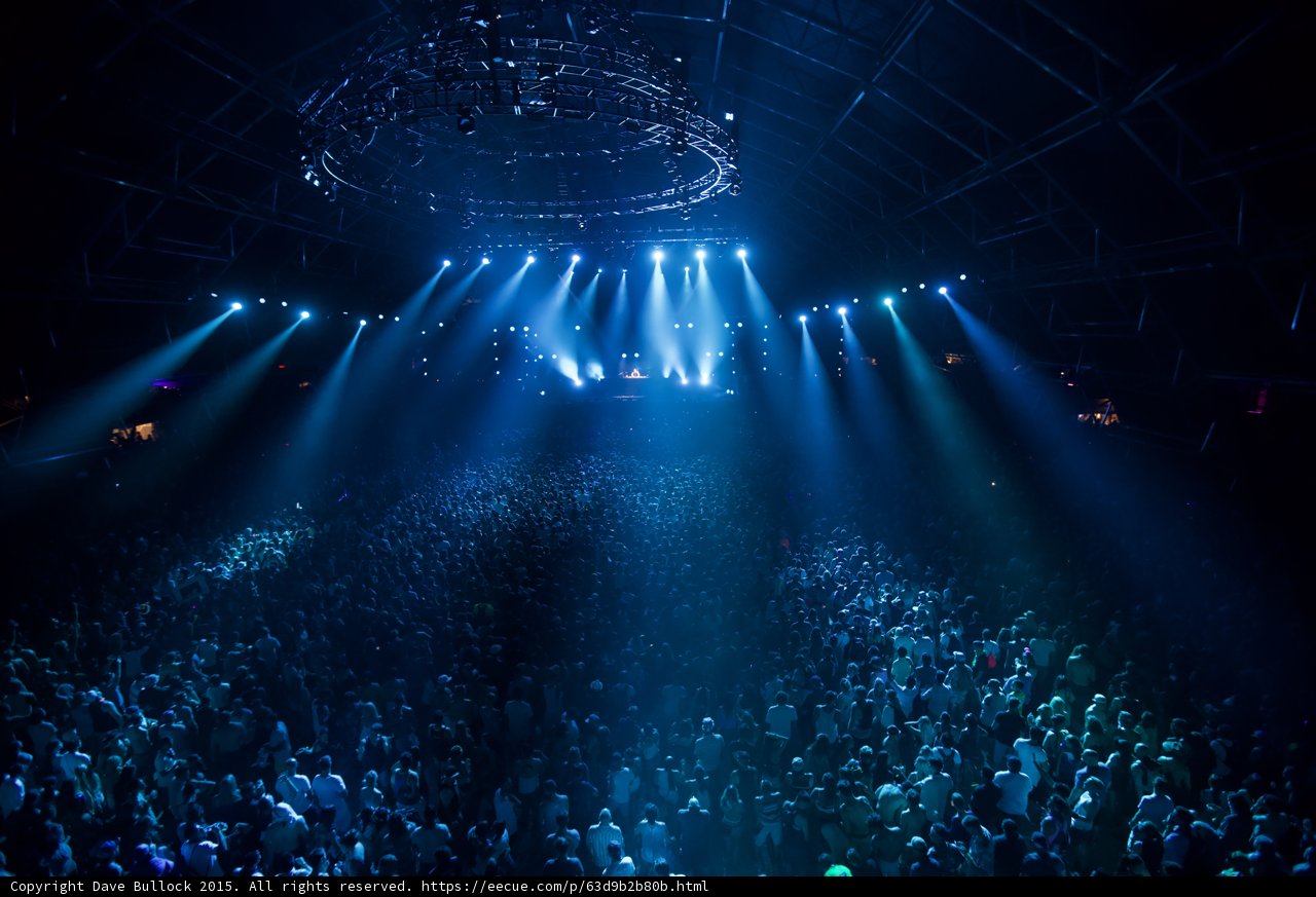 Spotlight on the Crowd