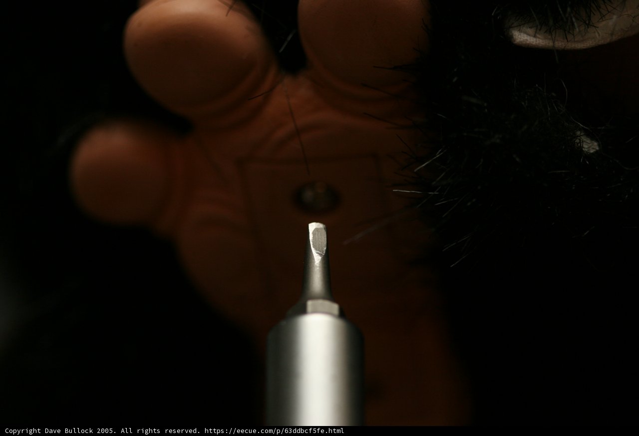 Bear in Need