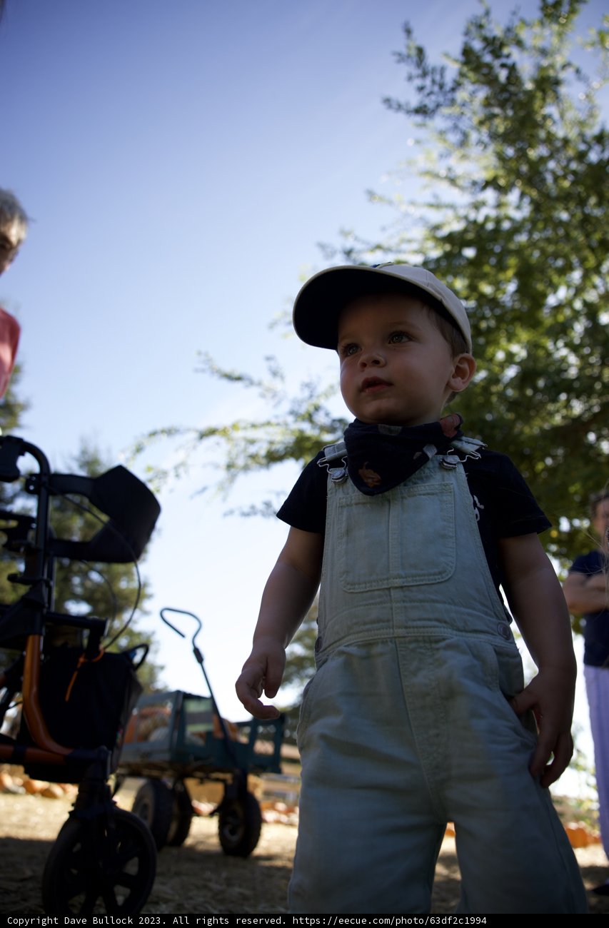 Adventures at the Pumpkin Patch: Wesley's Day Out