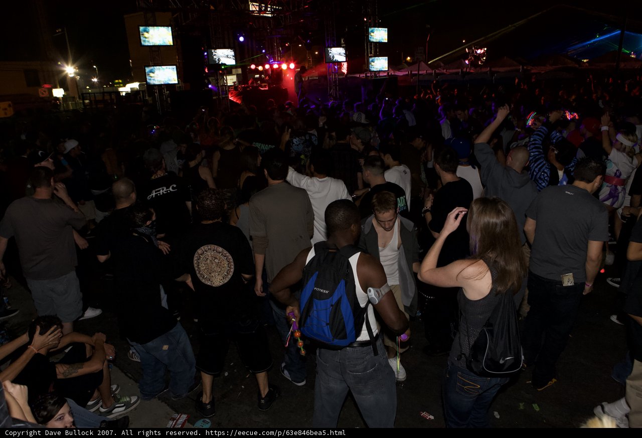 Nocturnal Beat: A Night to Remember