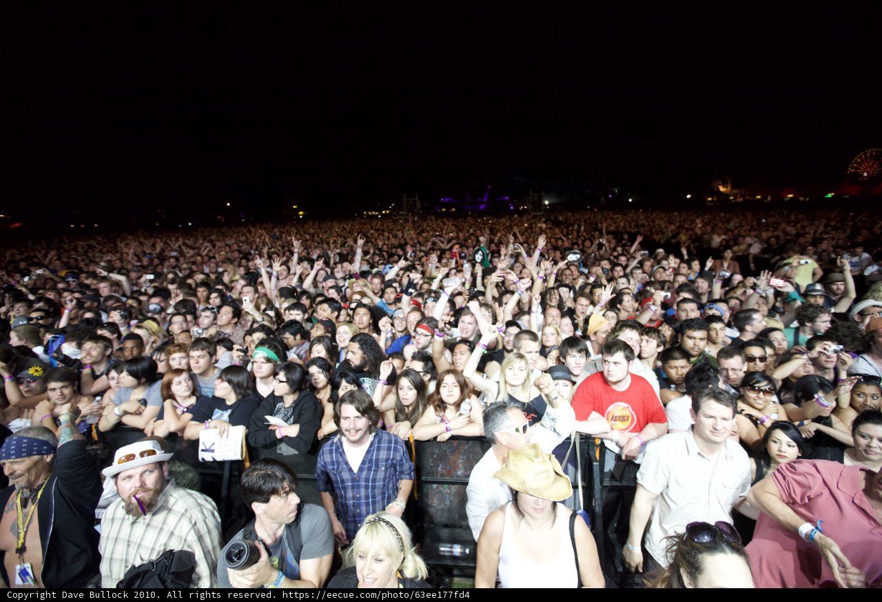 Coachella Nights