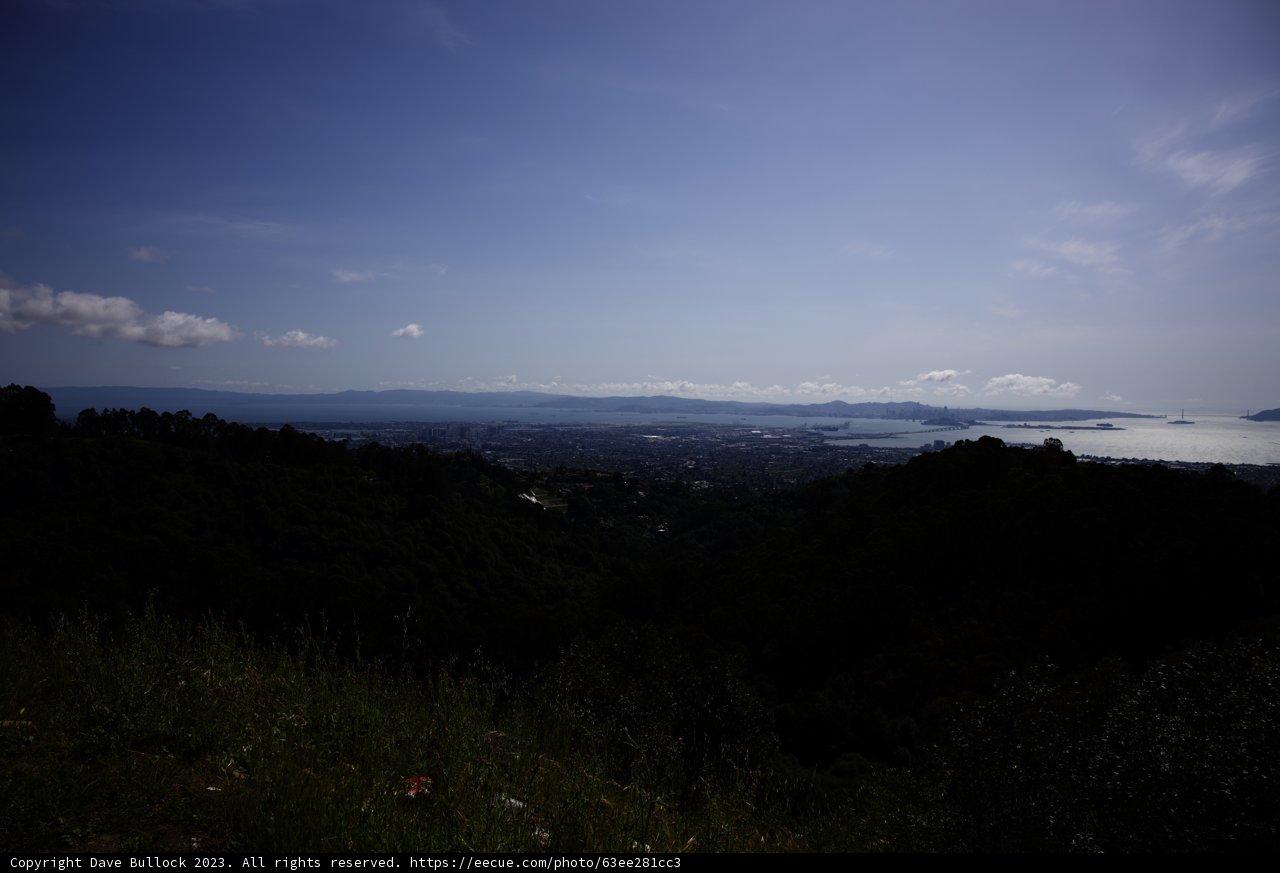 A Panoramic View of Berkeley Hillside