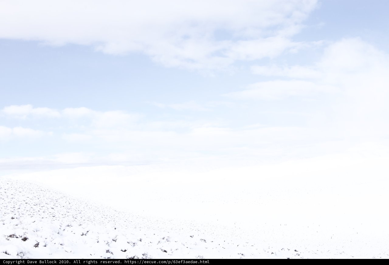 Serene Winter Wonderland