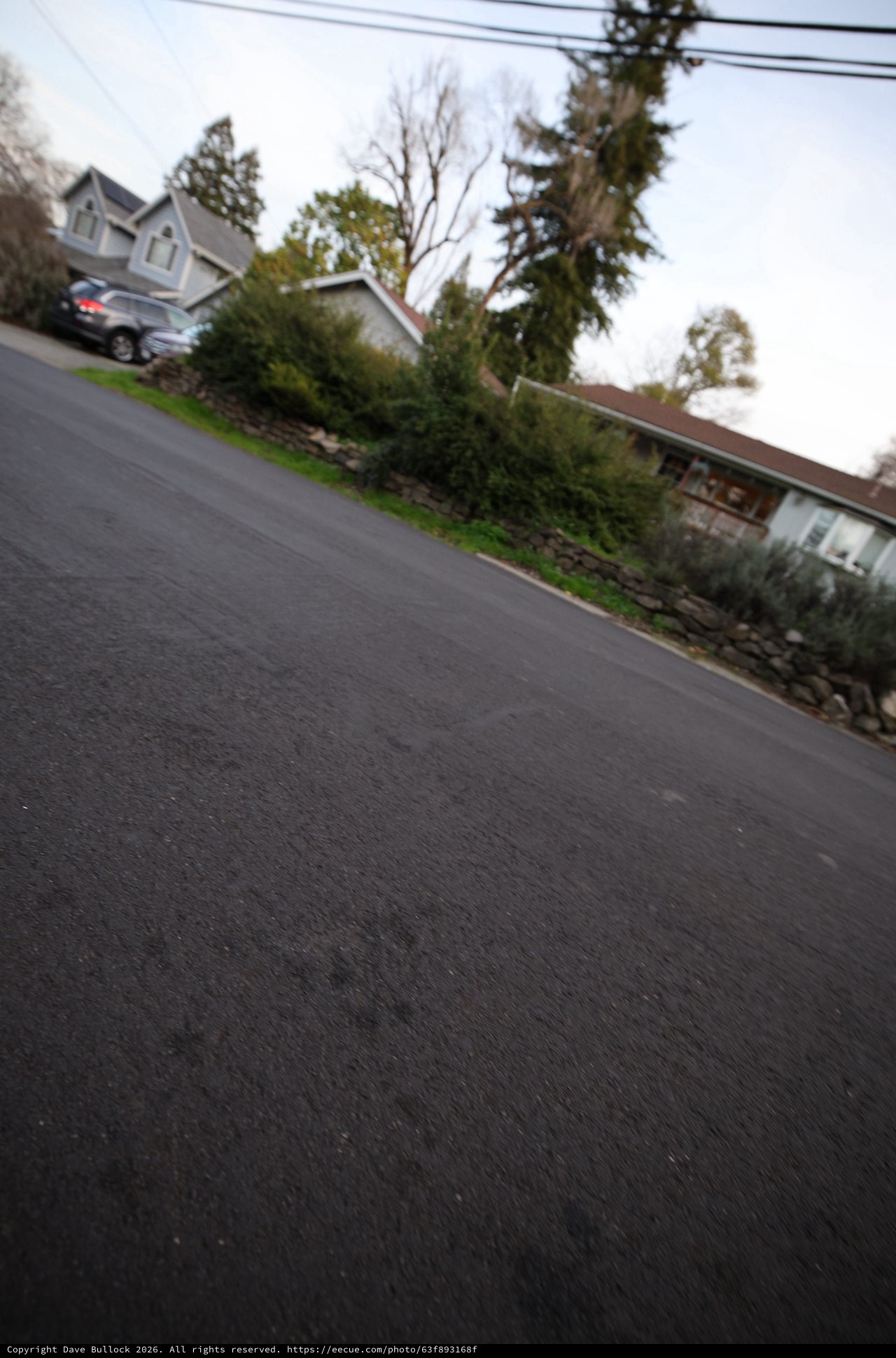 Quiet Residential Street on Overcast Day