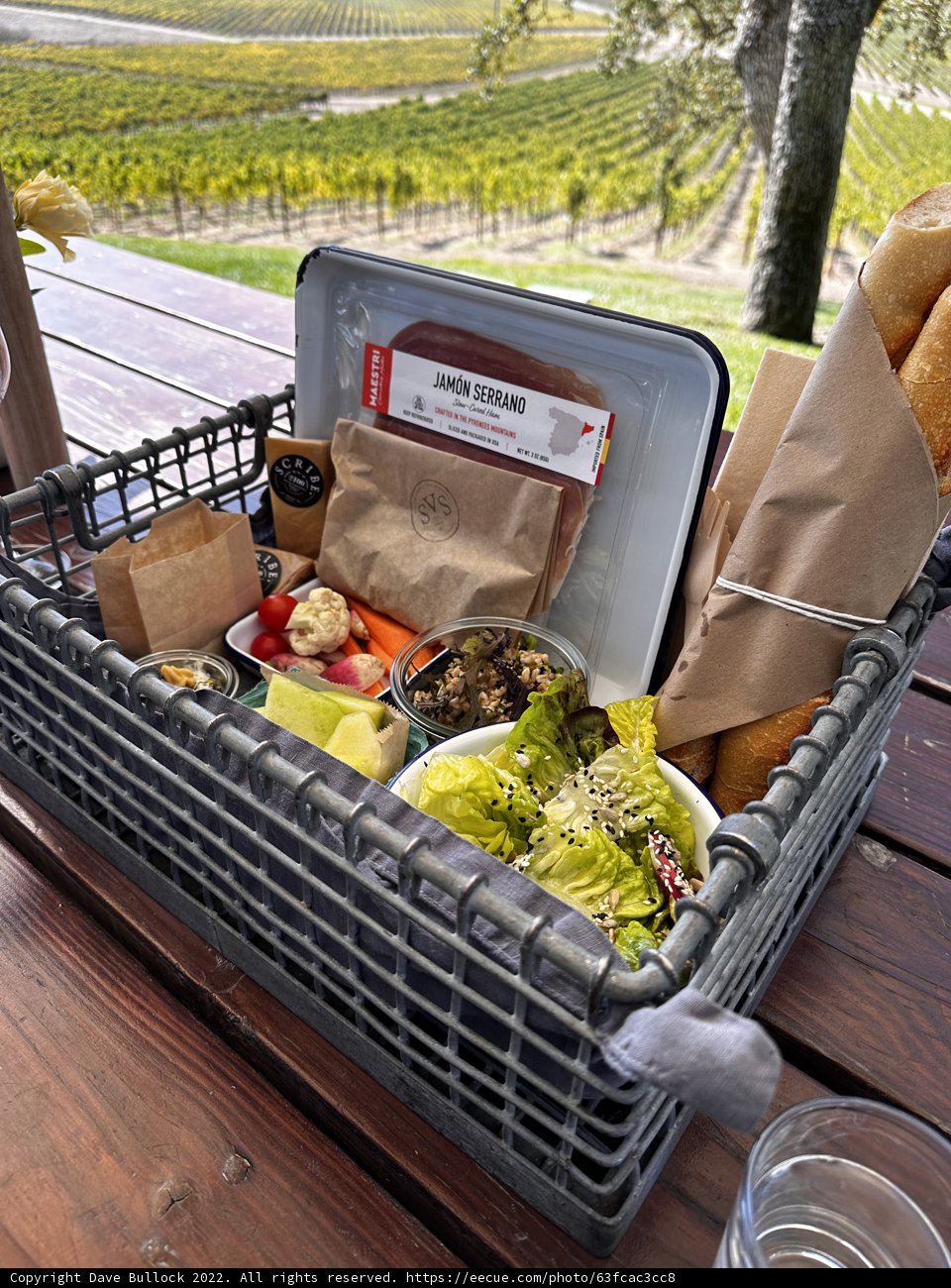 Fun in the Sun: A Picnic Basket Filled with Tasty Treats