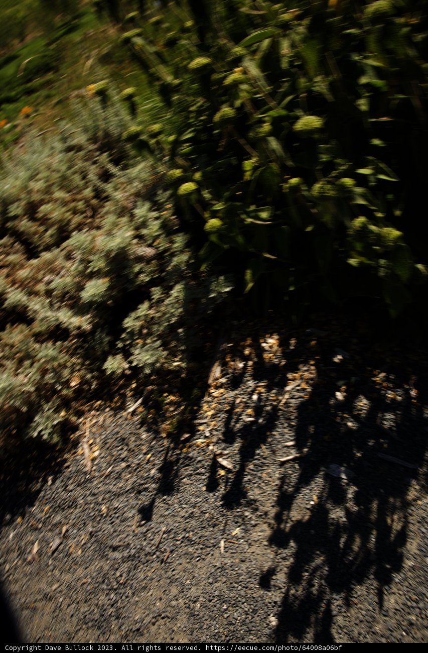 Off-road Skateboarding Adventure
