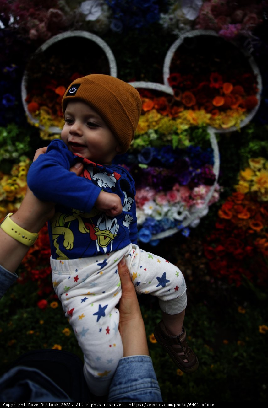 Blooming Bliss at Disneyland