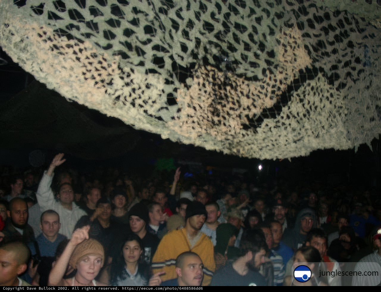 Netted Crowd at the Nightclub