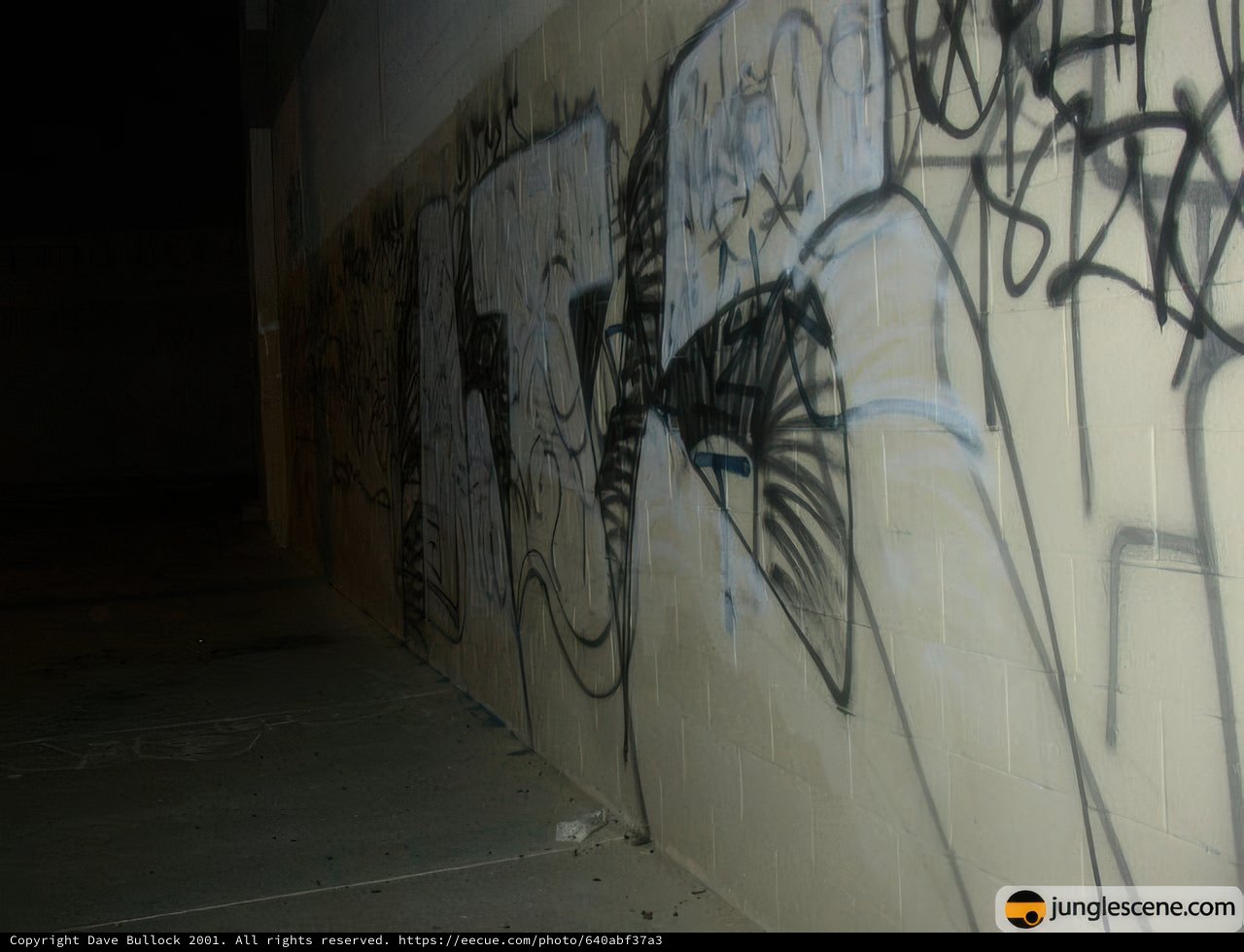 Nighttime Graffiti