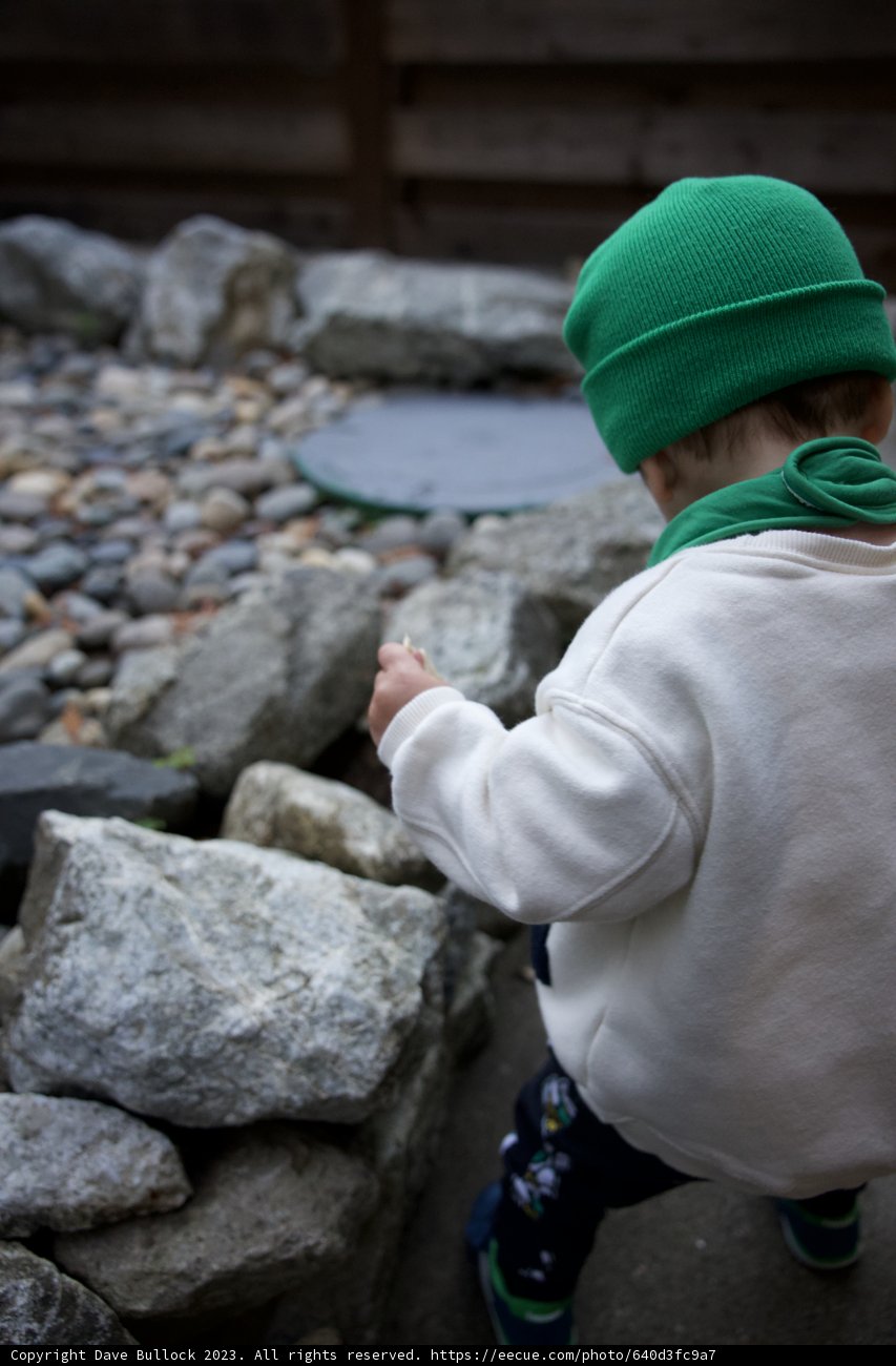 Little Explorer's Big Sur Adventure