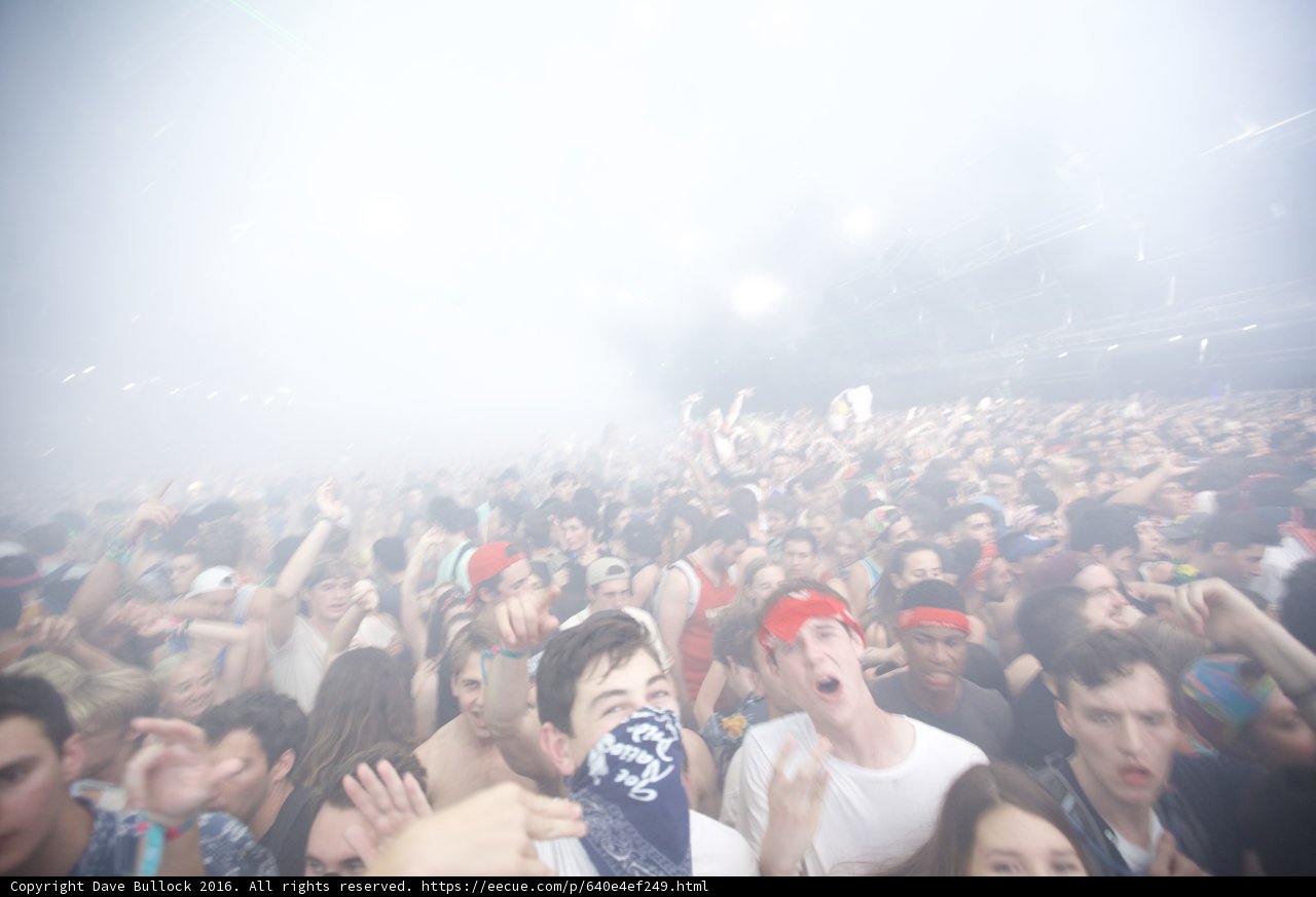 Lost in the Fog