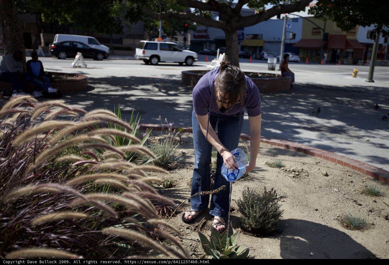 Planting in the Park
