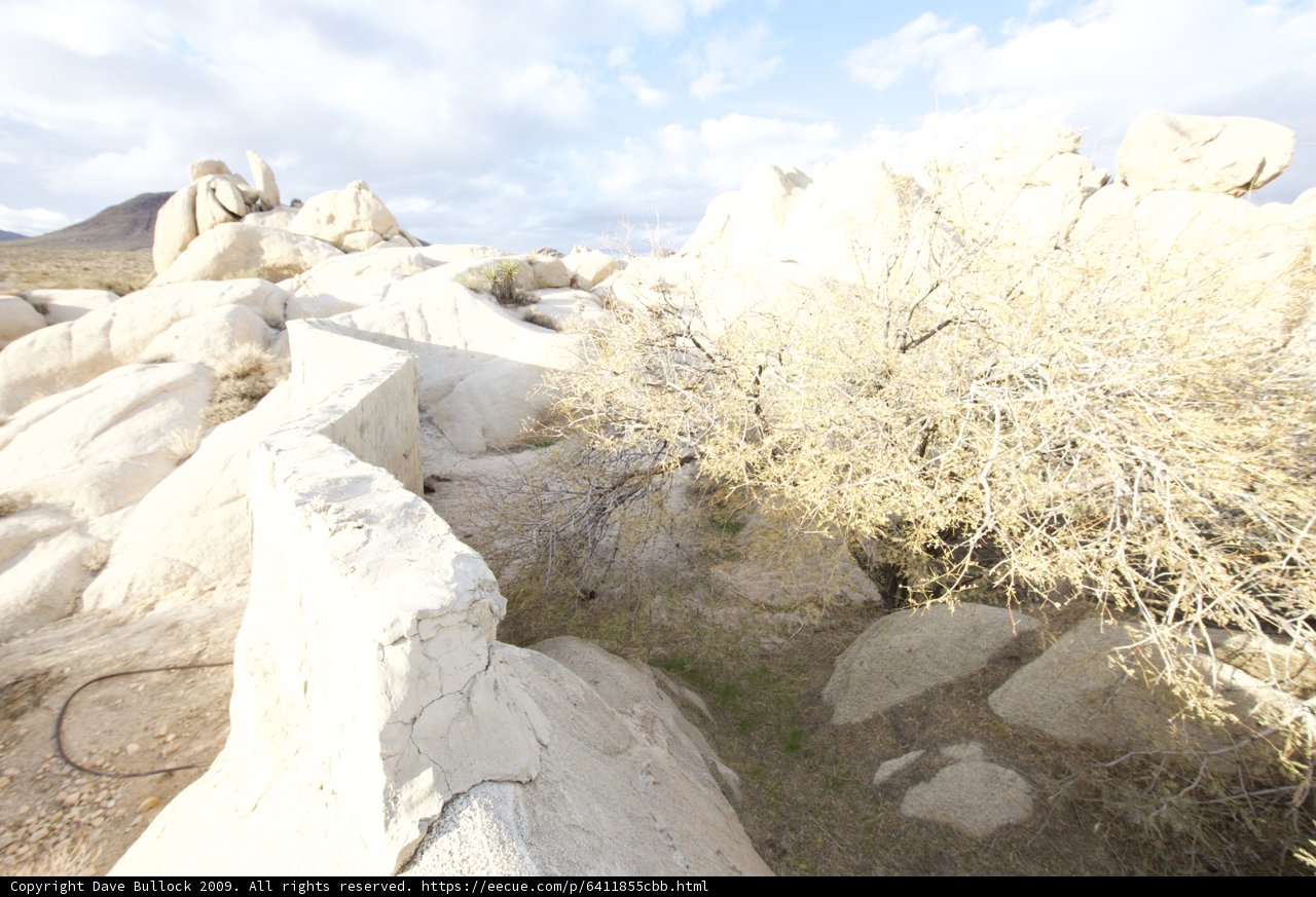 Ancient Rock Formations with a Tree in the Joshua Tree Wilderness