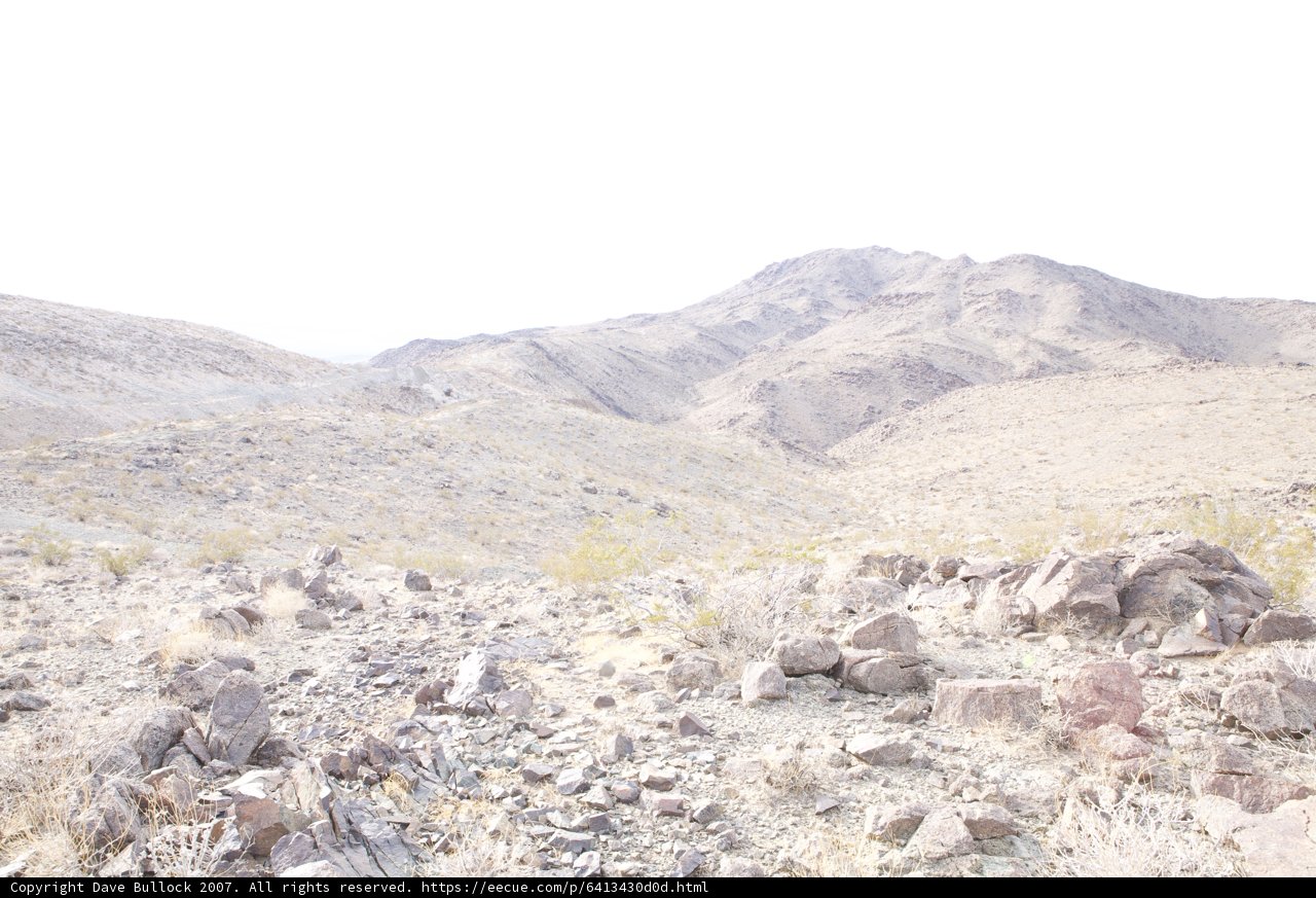 Alone in the Wilderness