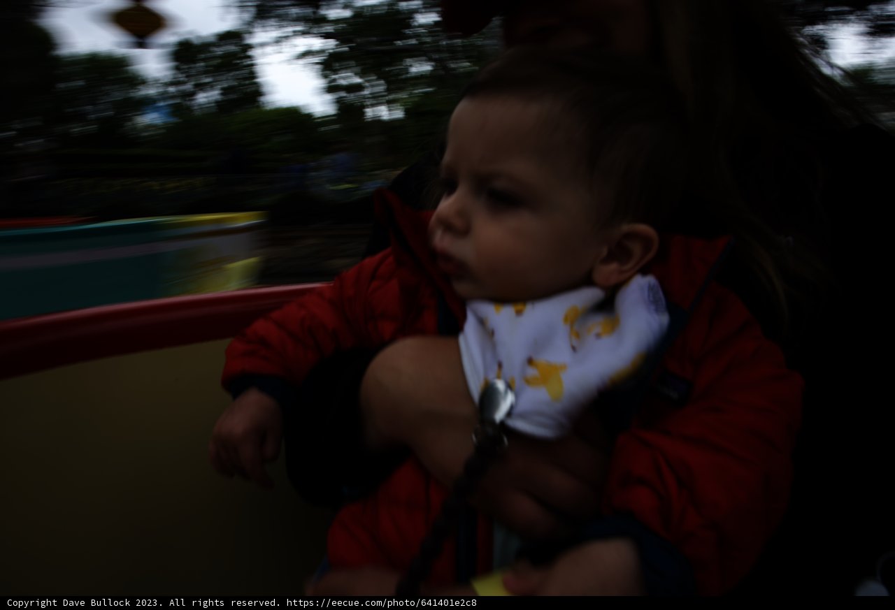 Magical Moments at Disneyland