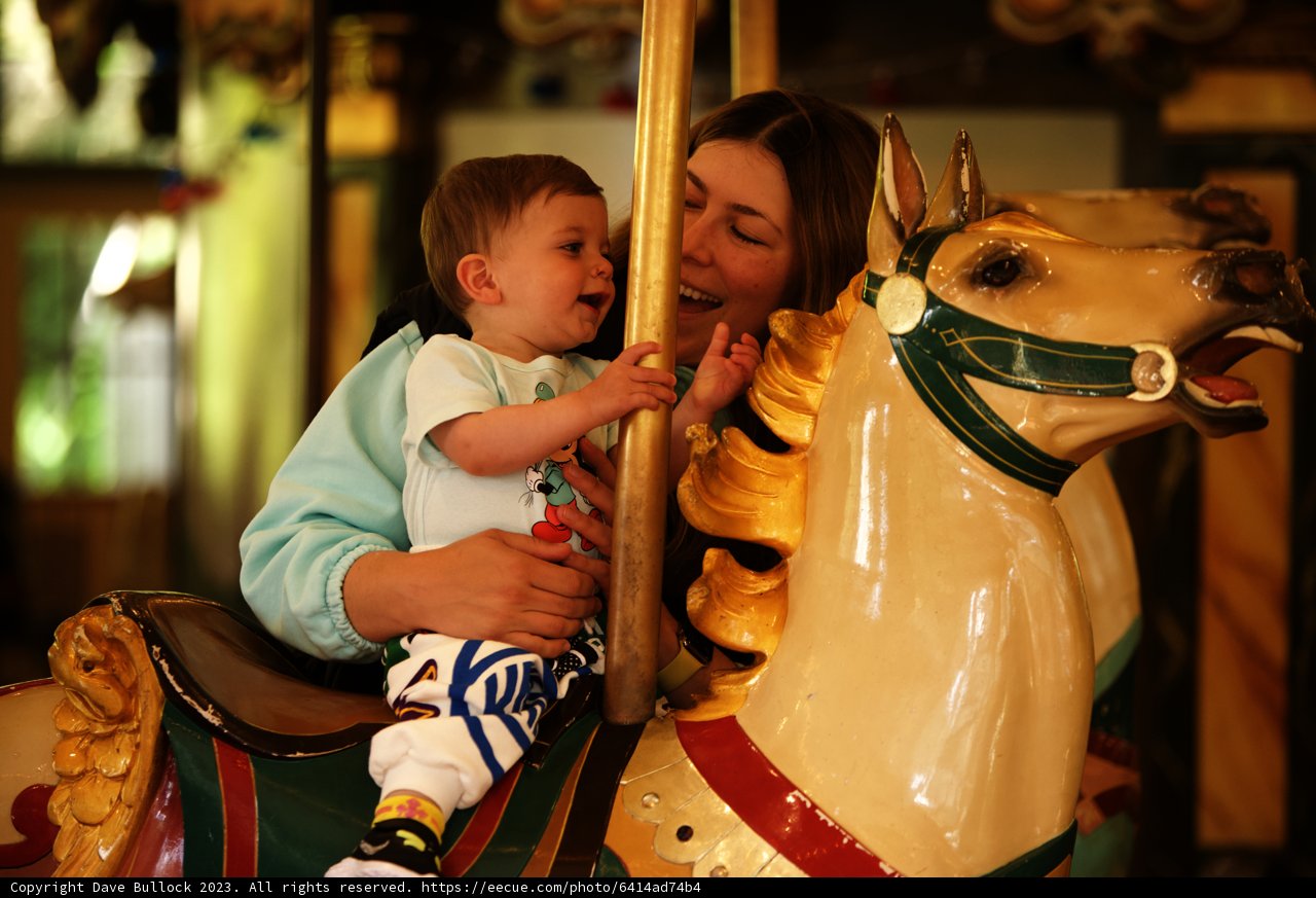 Magical Carousel Moments at SF Zoo