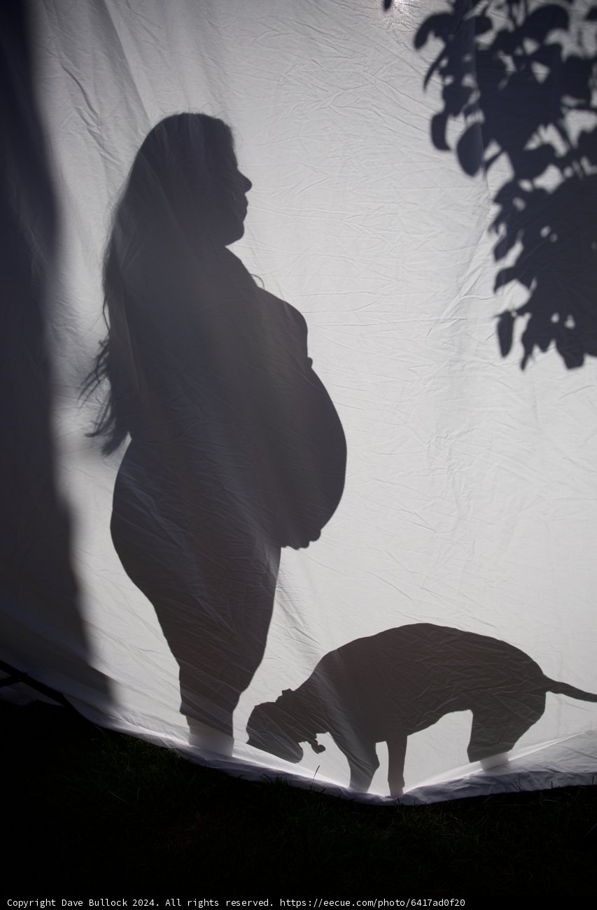 Anticipation in Shadows