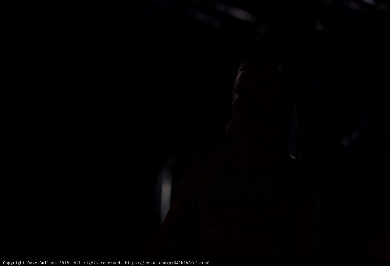 Silhouette in the Night