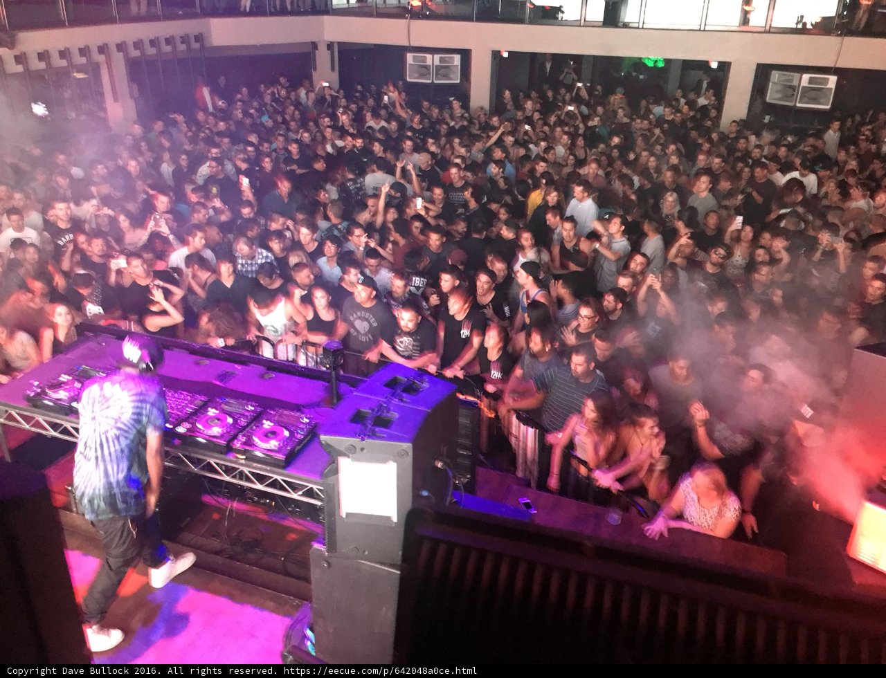 Nightclub Vibes