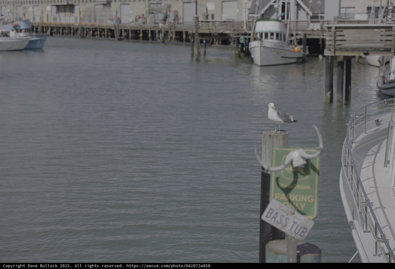 Peaceful Harbor