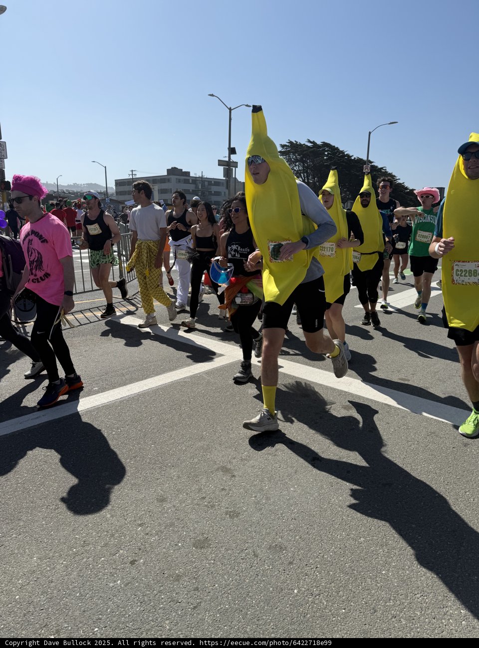 Banana Brigade Dash