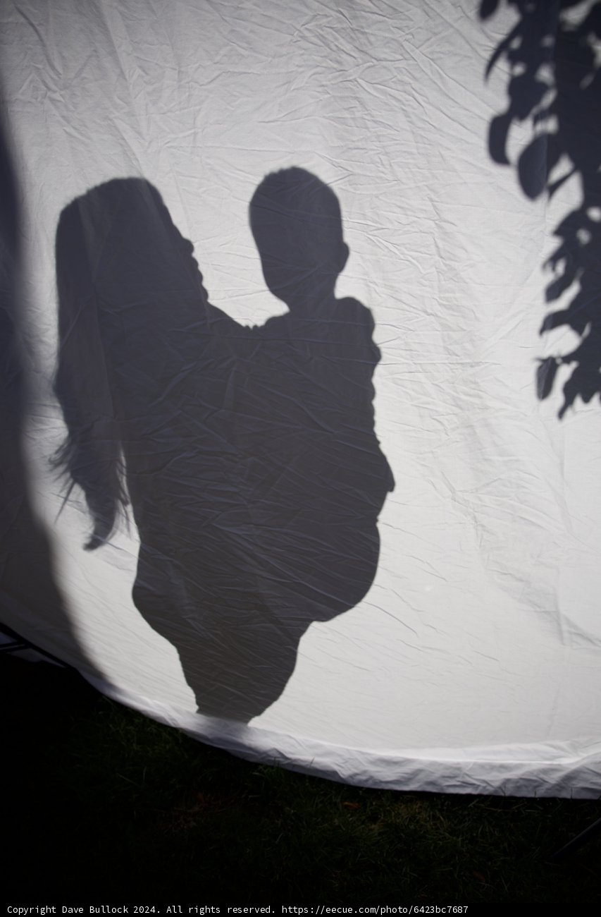 Expectant Shadows