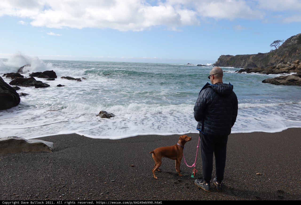 Man and Dog Enjoying a Day at the Beach
