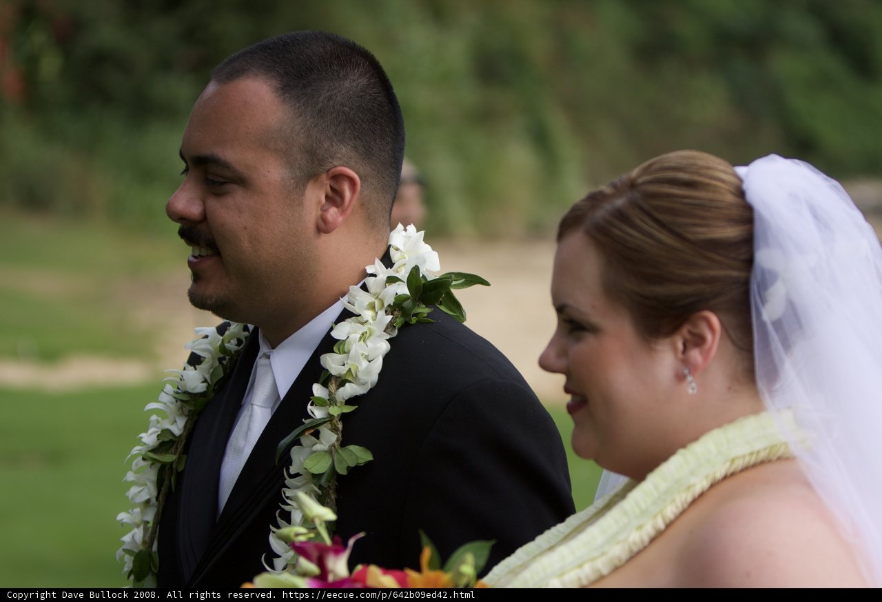 Wedding Bliss in Hawaii