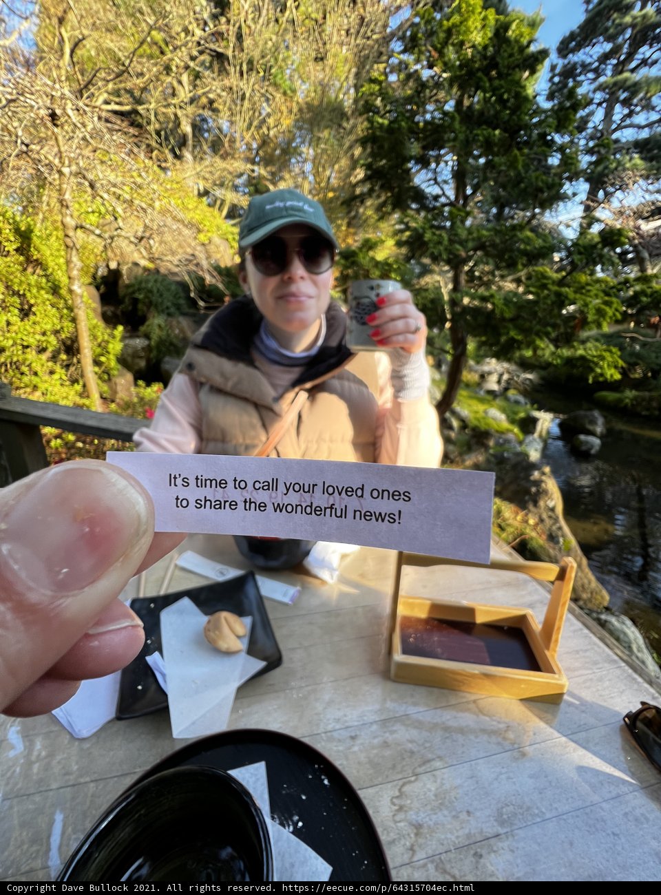 Fortune in the Garden