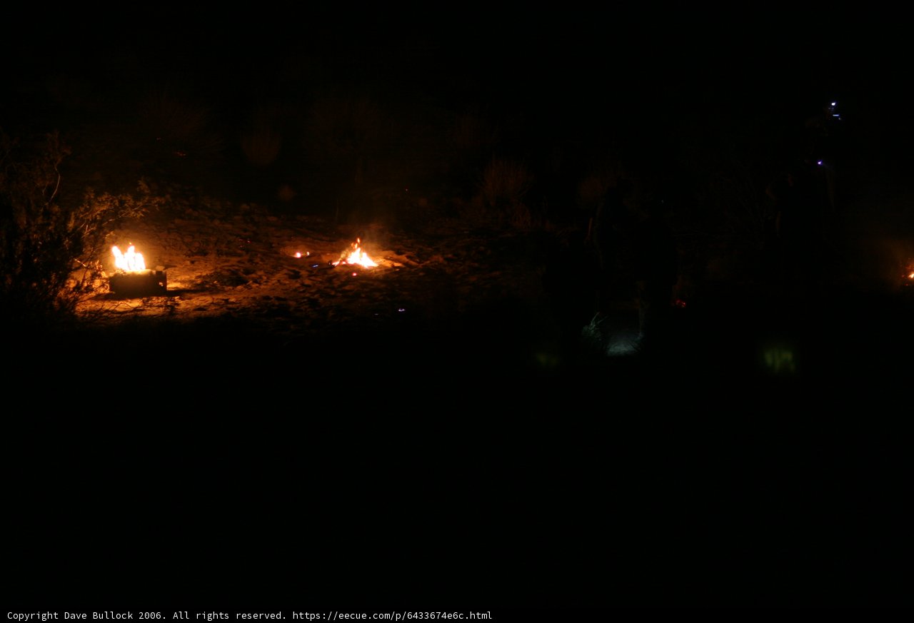 Burning Bright in the Desert Night