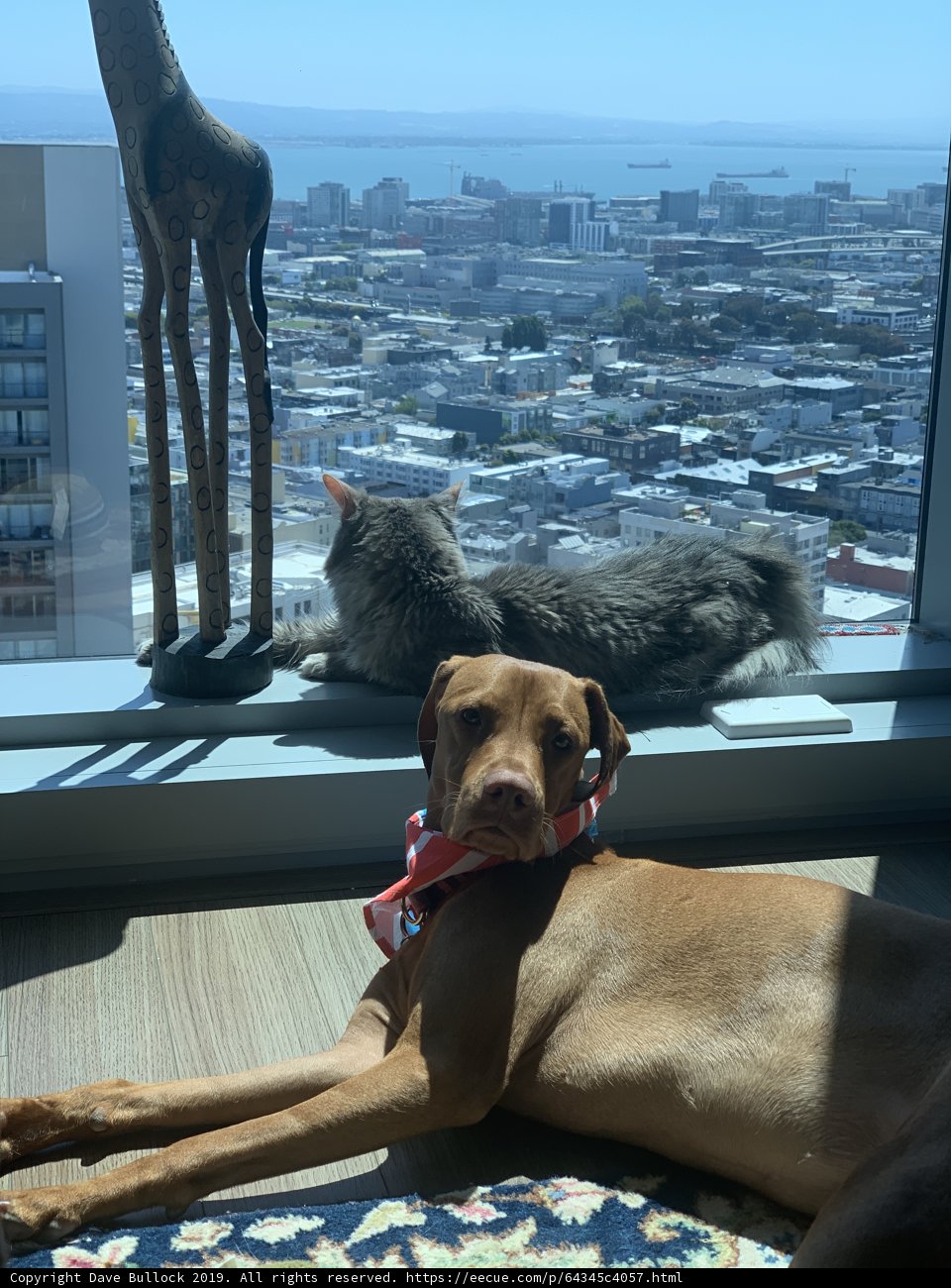 Relaxing with a View