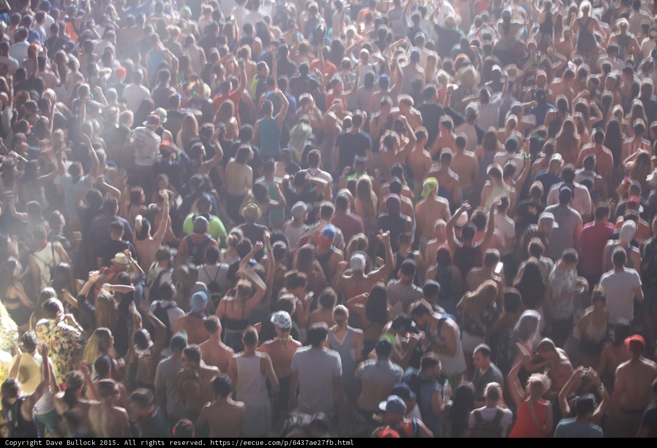 Coachella Crowd Madness
