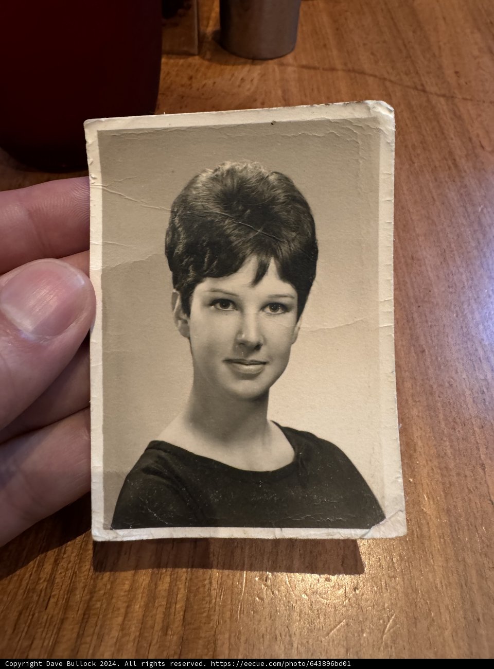 Embracing History Through a Vintage Portrait