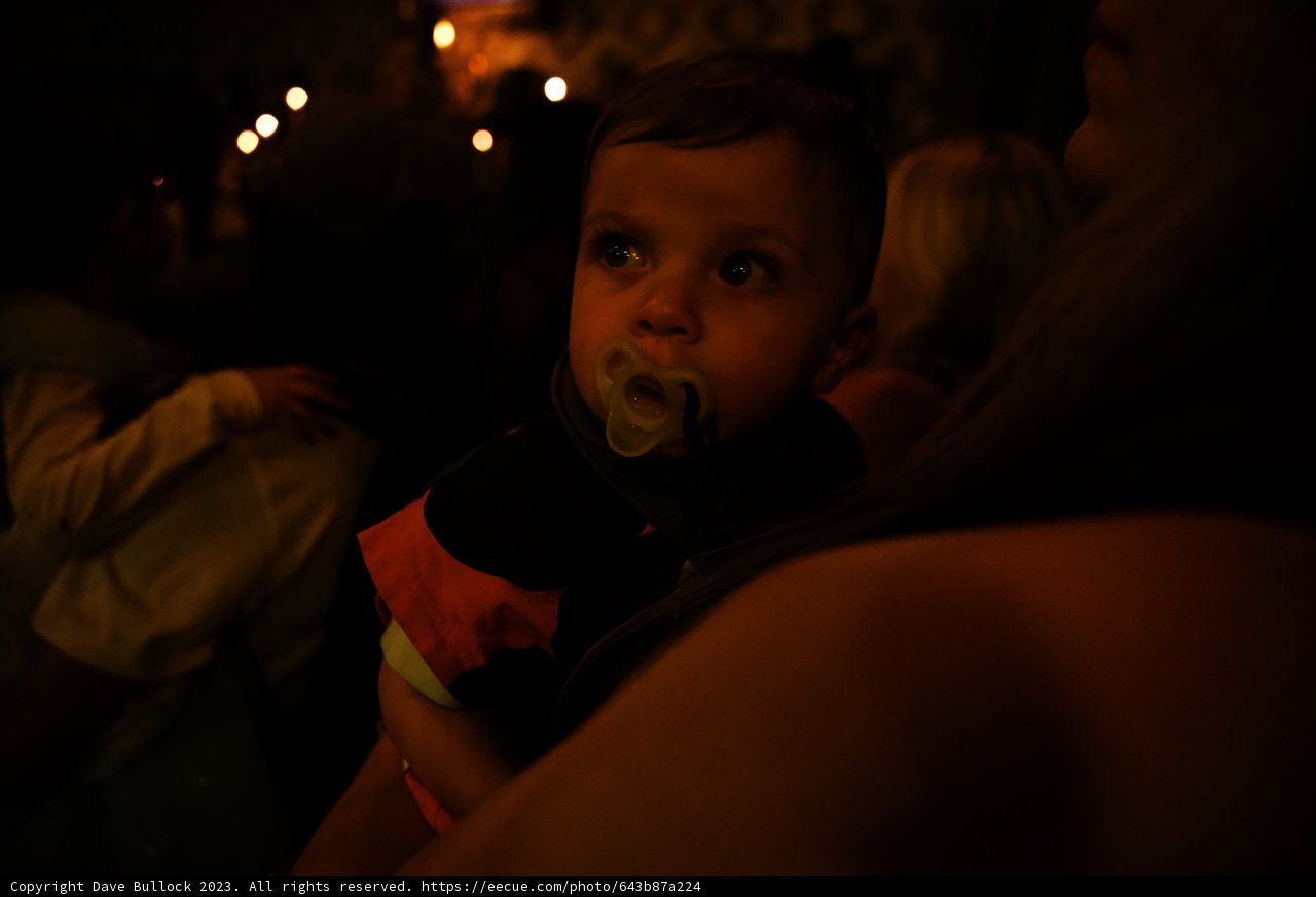 Wesley's Spooky Halloween Adventure