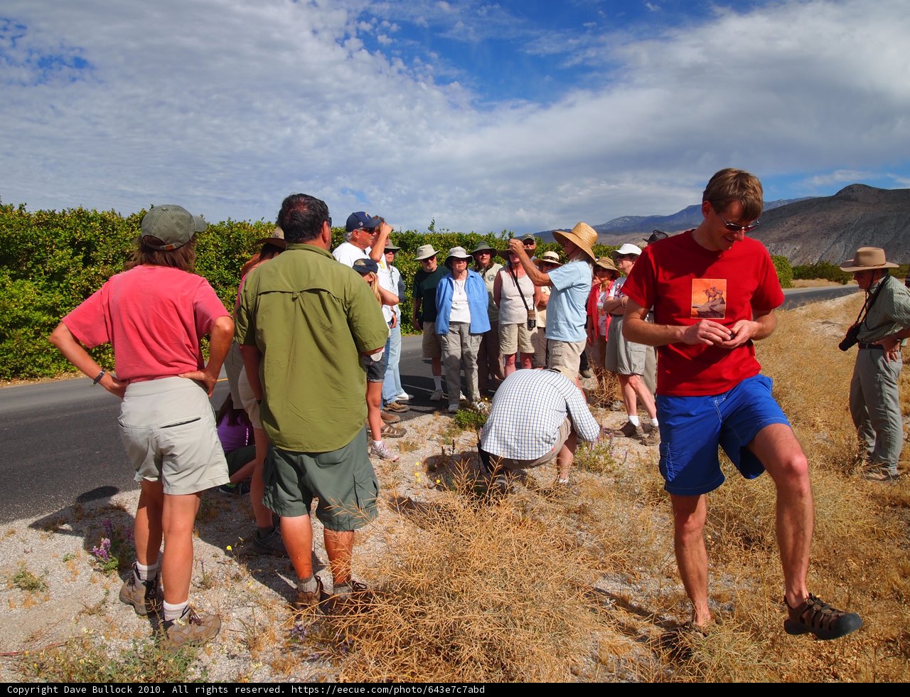 Group Hike