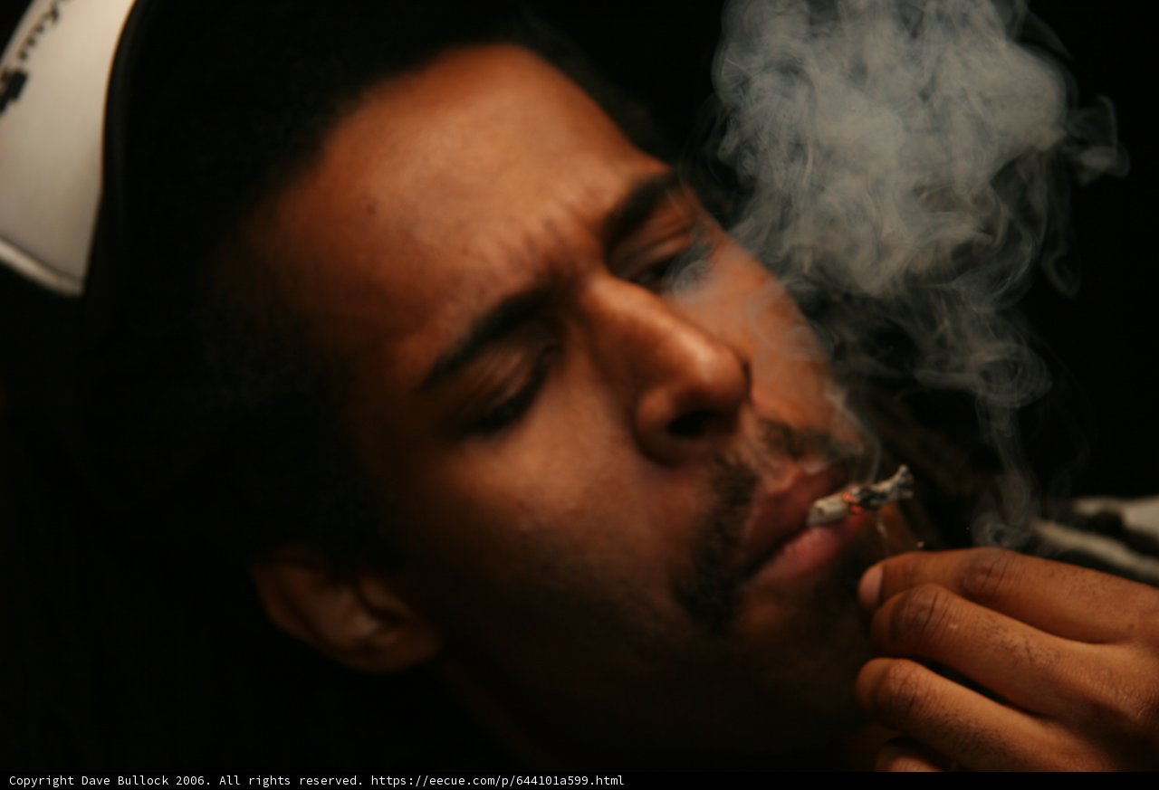 Up in Smoke