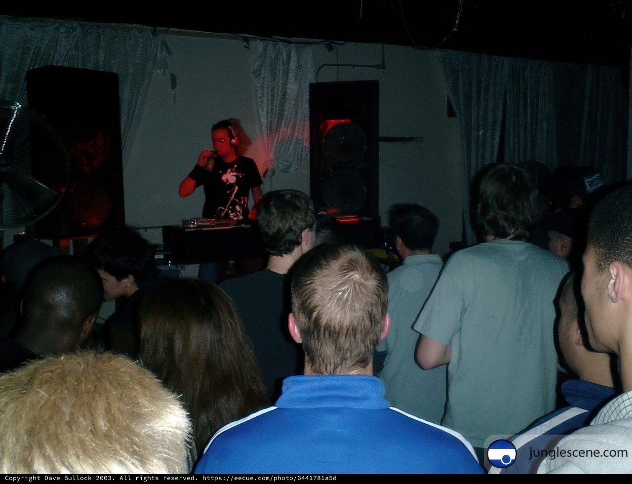Musician Performing for Energetic Crowd