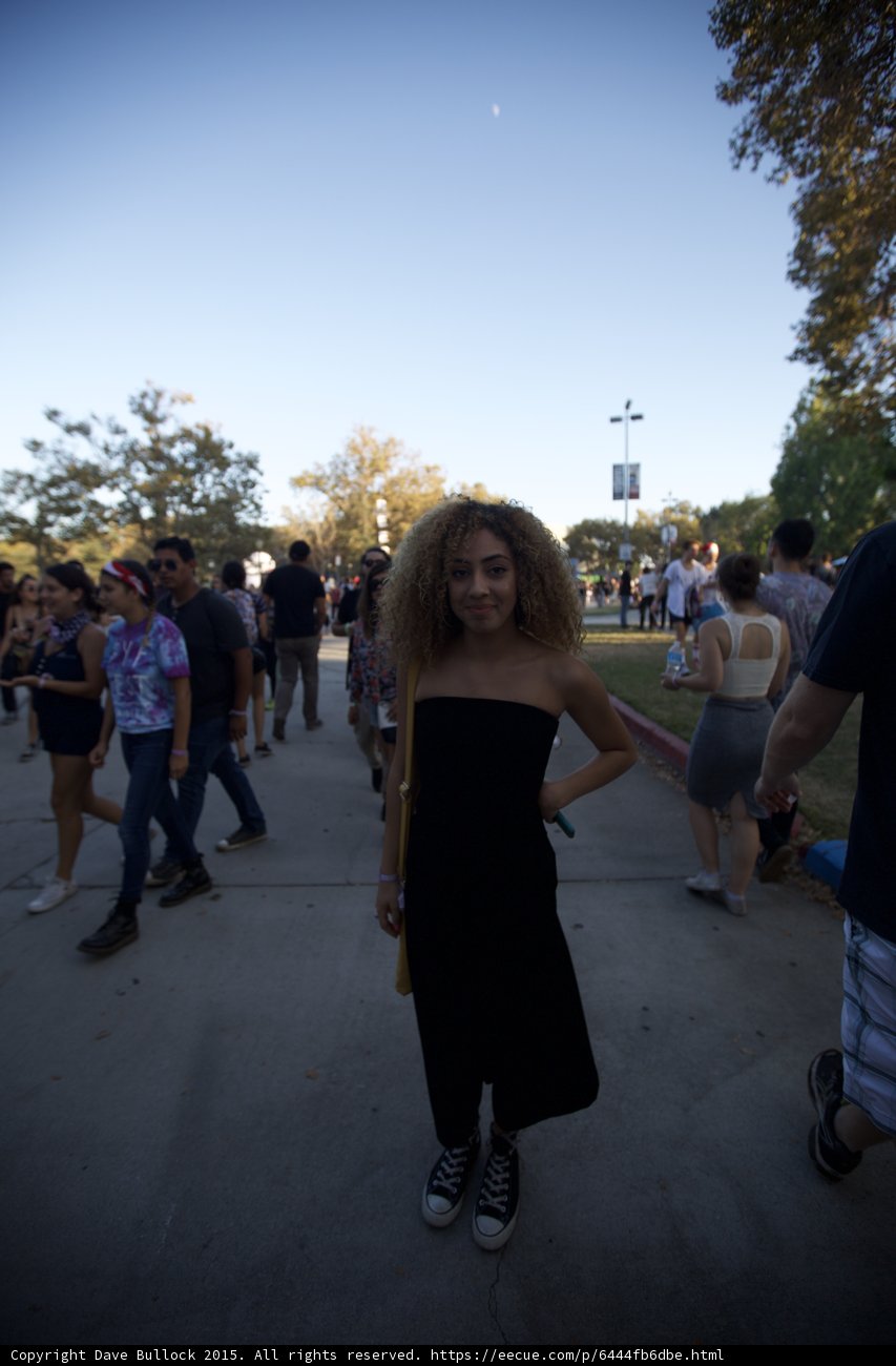 Festival Style Portrait