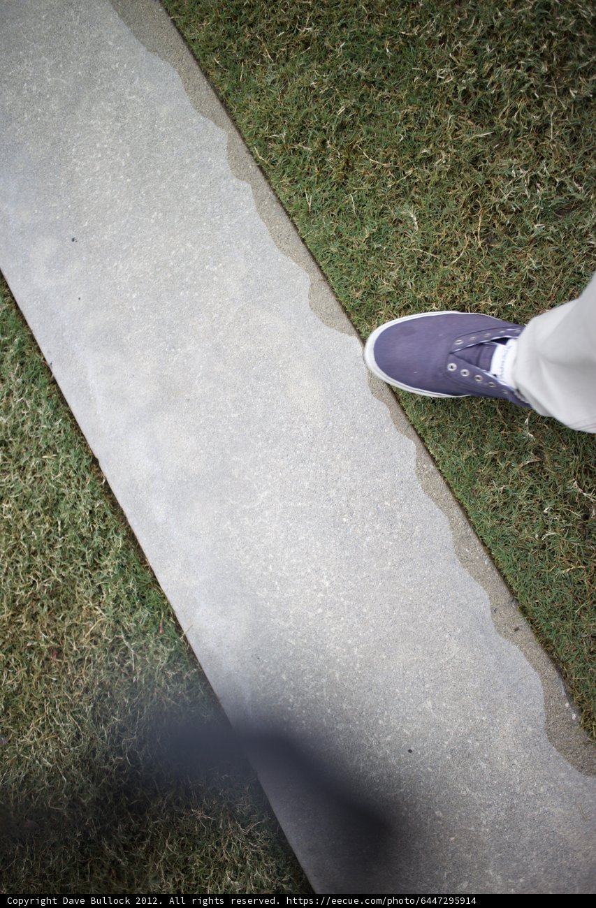Skateboarding on the Sidewalk