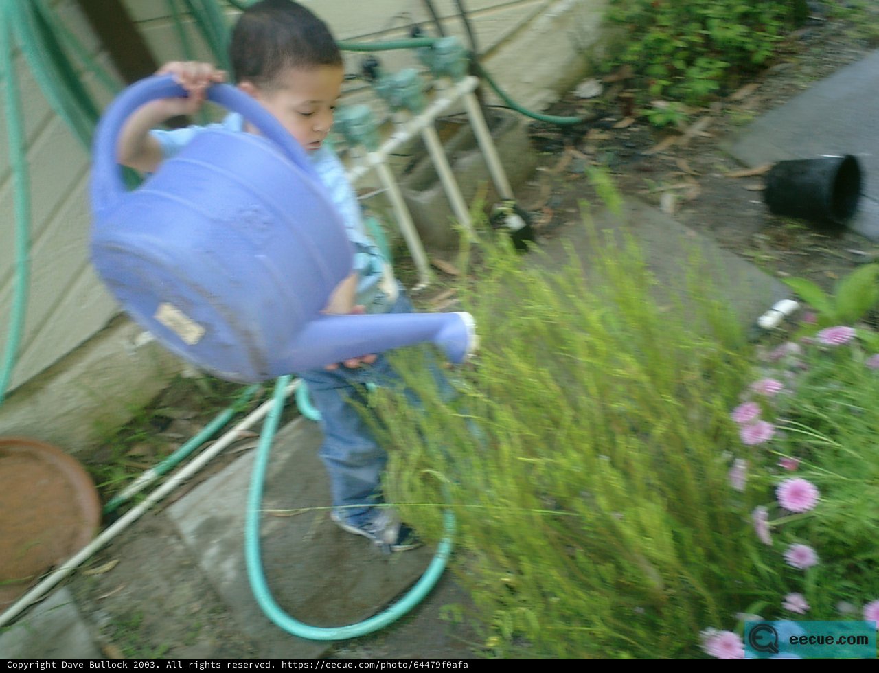 Little Green Thumb