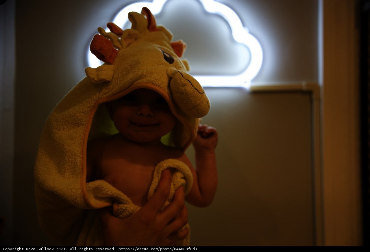 Cute as a Giraffe