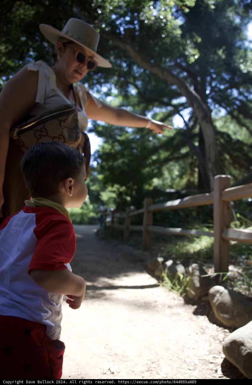 Wesley's Nature Adventure