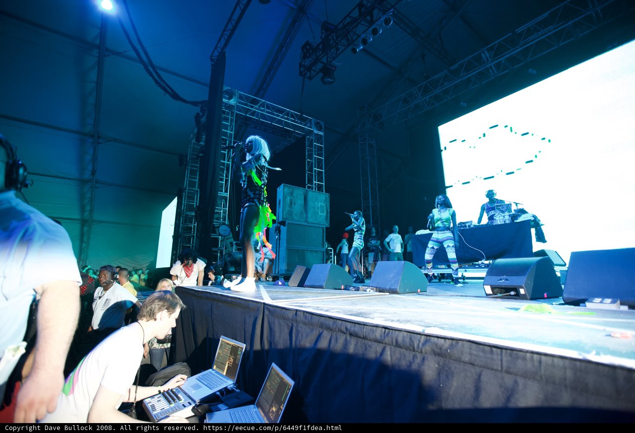 Rosanna Arquette Rocks Coachella Stage