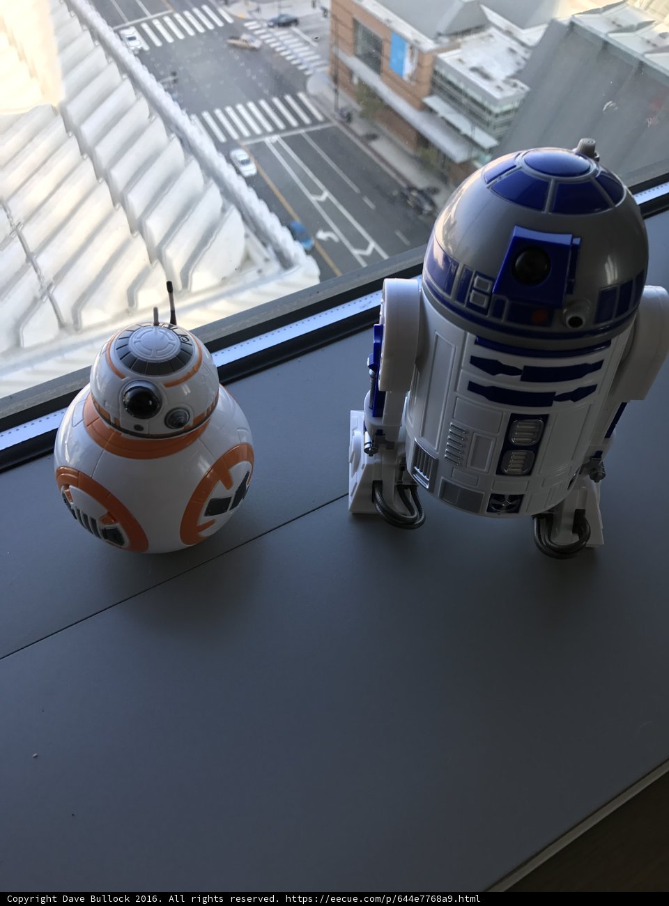 Robot Buddies