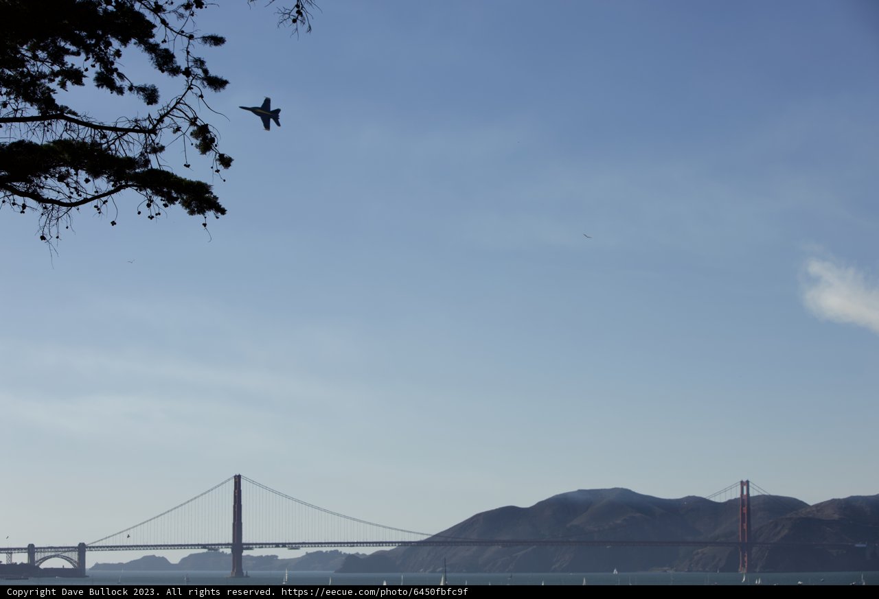 Soaring Above the Bridge