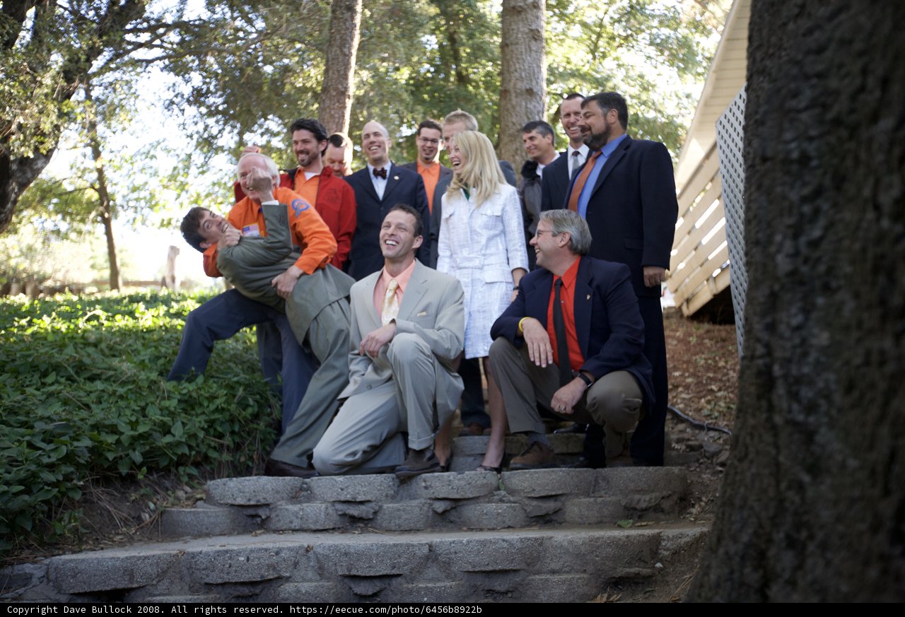 The Truitt Wedding Party