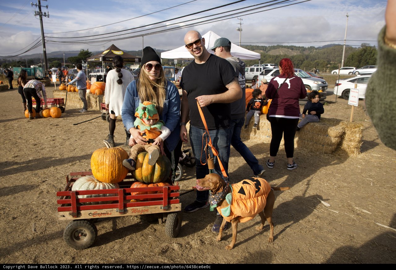 Autumn Adventure at Halfmoon Bay Pumpkin Patch