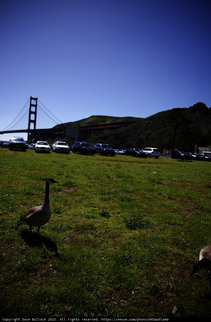 Serenity in Sausalito