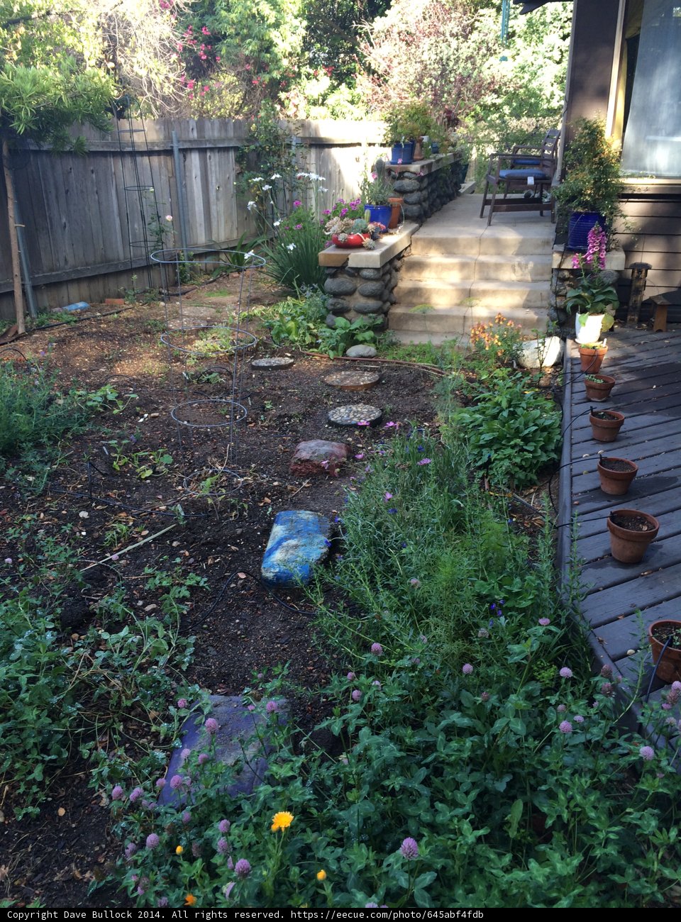 A Serene Backyard Oasis