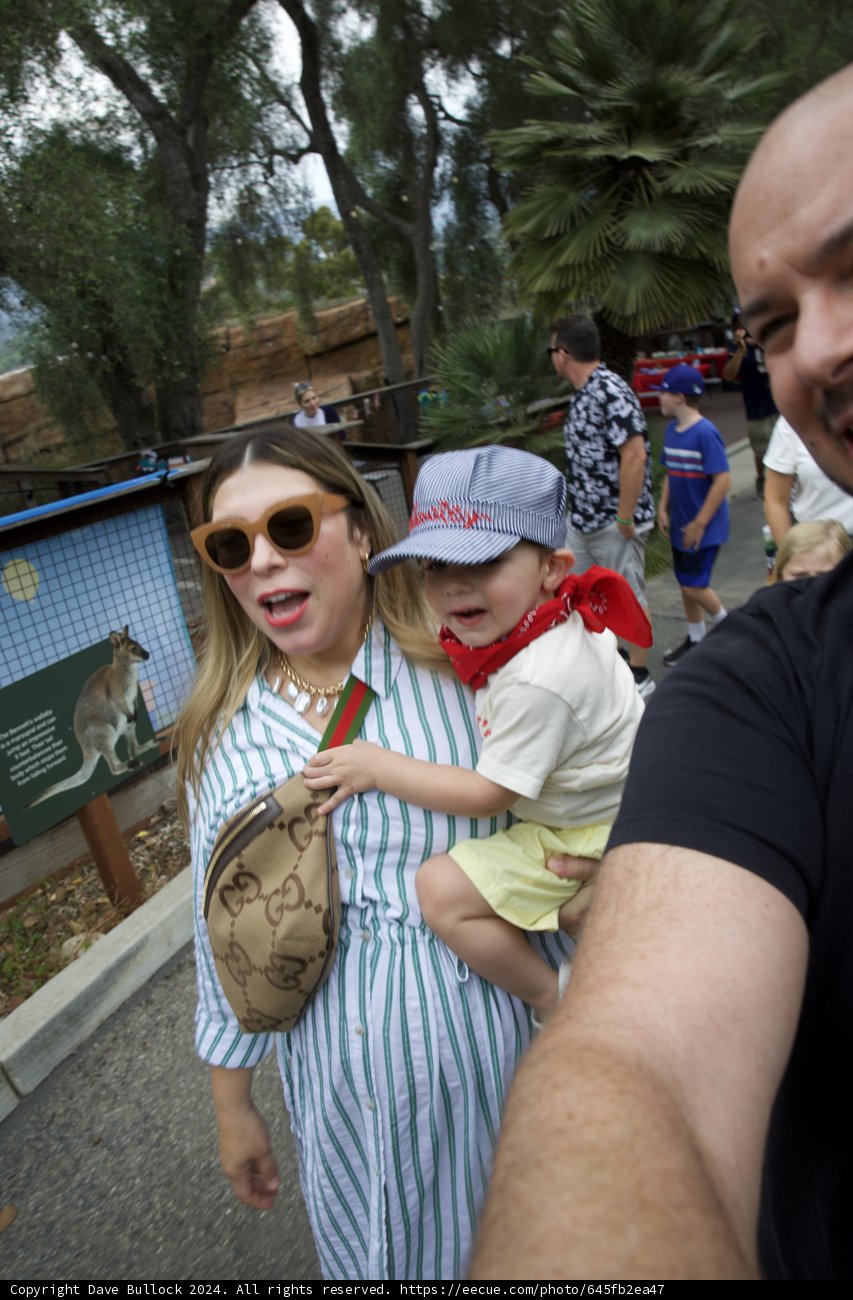 Wesley's Zoo Adventure